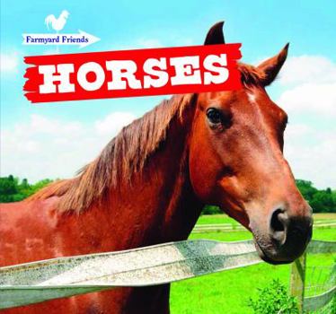 Paperback Horses Book