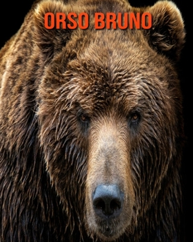 Orso bruno: Immagini bellissime e fatti interessanti Libro per bambini sui Orso bruno