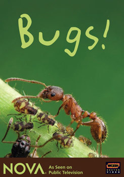 DVD Nova: Bugs! Book