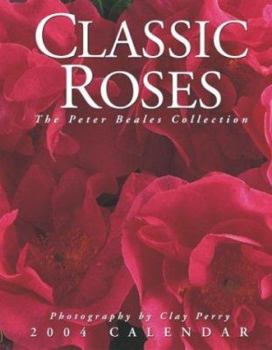 Calendar Classic Roses 2004 Engagement Calendar Book