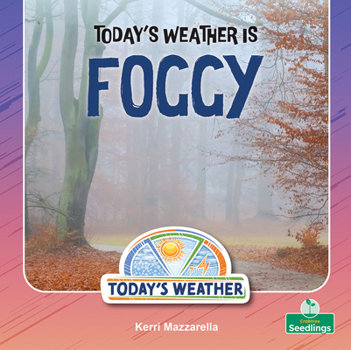 Today's Weather Is Foggy