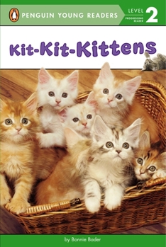 Paperback Kit-Kit-Kittens Book