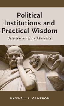 Hardcover Political Institutions and Practical Wisdom: Between Rules and Practice Book