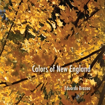 Paperback Colors of New England Book