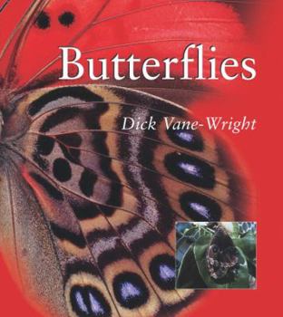 Paperback Butterflies Book