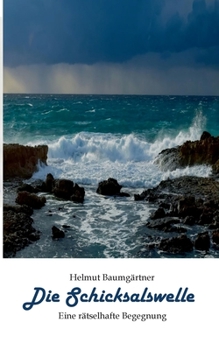 Paperback Die Schicksalswelle: Eine rätselhafte Begegnung [German] Book