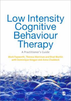 Paperback Low Intensity Cognitive Behaviour Therapy: A Practitioner's Guide Book