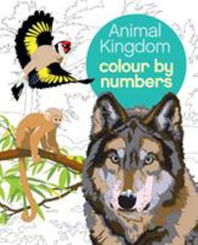 Paperback Colour by Numbers: Animal Kingdom Book