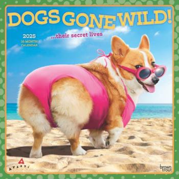 Calendar Avanti Dogs Gone Wild Official 2025 12 X 24 Inch Monthly Square Wall Calendar Plastic-Free Book