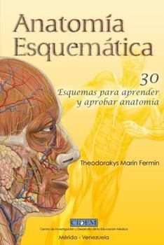 Paperback Anatomia Esquematica: 30 esquemas para aprender y aprobar anatomía [Spanish] Book