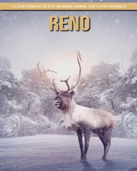 Reno: La guía esencial de este increíble animal con fotos increíbles
