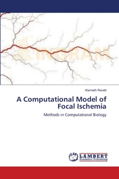 Paperback A Computational Model of Focal Ischemia Book