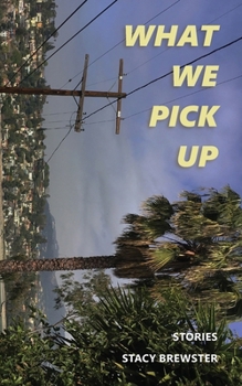 Paperback What We Pick Up Book