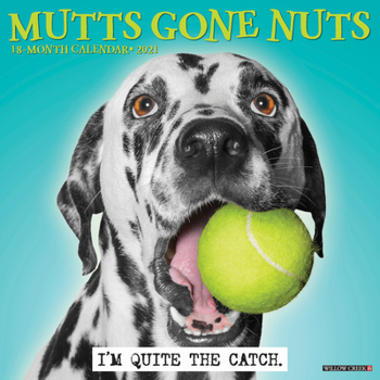 Calendar Mutts Gone Nuts 2021 Wall Calendar Book