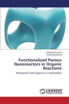 Paperback Functionalized Porous Nanoreactors in Organic Reactions Book