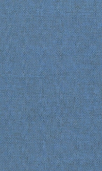 The Greek Prothetic Vowel (Philological Monographs of The American Philological Association, Number 31)