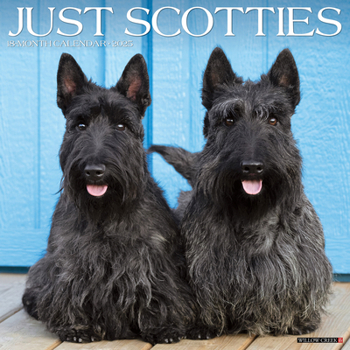 Calendar Just Scotties 2025 12 X 12 Wall Calendar Book