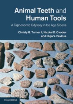 Hardcover Animal Teeth and Human Tools: A Taphonomic Odyssey in Ice Age Siberia Book