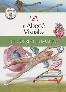Paperback El Abece Visual del Cuerpo Humano = The Illustrated Basics of the Human Body [Spanish] Book