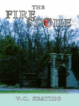 Paperback The Fire Stone Book