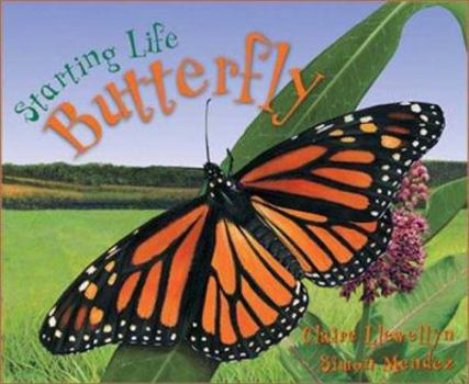 Hardcover Butterfly Book