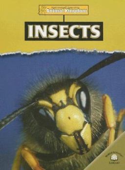 Library Binding Insects Book