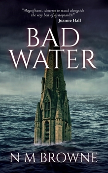 Paperback Bad Water Book