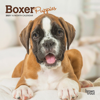 Calendar Boxer Puppies 2021 Mini 7x7 Book