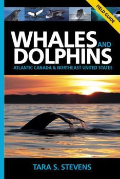 Paperback Whales and Dolphins Field Guide: Atlantic Canada and Northeast United States Book