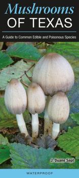 Paperback Mushrooms of Texas: A Guide to Common Edible and Poisonous Species Book