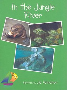 Paperback In the Jungle River (Sails Literacy Series, Early 4) Book