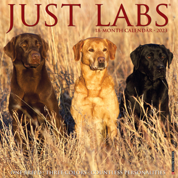 Calendar Just Labs 2023 Wall Calendar Book