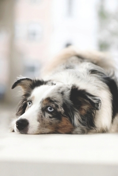 Tagebuch: Datum - Mädchen - Pubertät - Frau - Familie - Notizbuch - Liebe - Tagebuch - Freundebuch - Junge - Mann - Kalender - Australian Shepherd (German Edition)