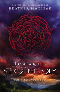 Hardcover Toward a Secret Sky Book