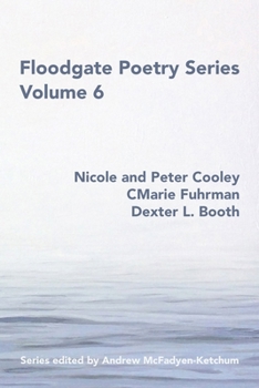 Paperback Floodgate Series Volume 6 Book