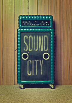 DVD Sound City Book