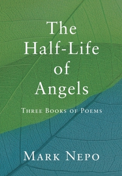 Hardcover The Half-Life of Angels Book