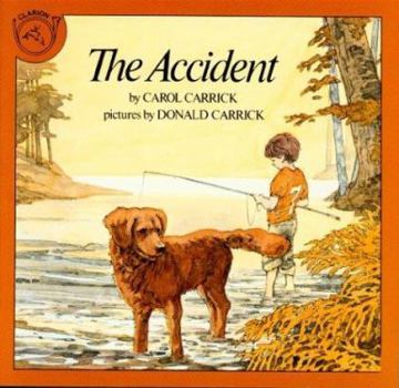 Paperback Accident Pa Book