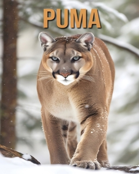 Puma: Découvrez des Informations et des Images Étonnantes Concernant les Puma (French Edition)