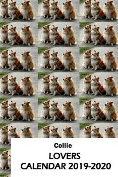 Paperback Collie Lovers Calendar 2019-2020 Book