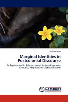 Paperback Marginal Identities in Postcolonial Discourse Book