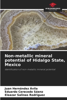 Paperback Non-metallic mineral potential of Hidalgo State, Mexico Book