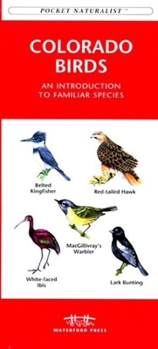 Hardcover Eastern Seashore Life: An Introduction to Familiar Species Book