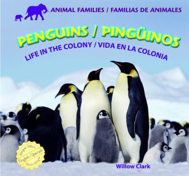 Library Binding Penguins: Life in the Colony / Pingüinos: Vida En La Colonia Book