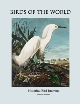 Birds of the World: Historical Bird Drawings