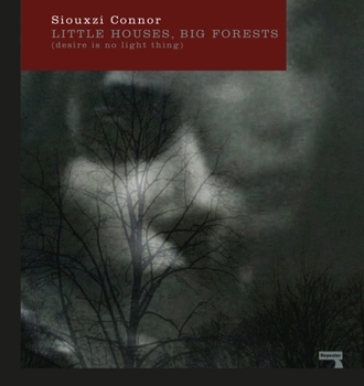 Paperback Little Houses, Big Forests: Desire Is No Light Thing Book