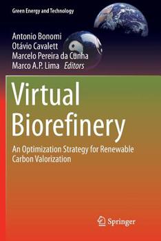 Paperback Virtual Biorefinery: An Optimization Strategy for Renewable Carbon Valorization Book