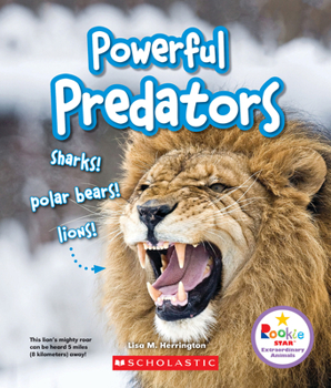 Paperback Powerful Predators: Sharks! Polar Bears! Lions! (Rookie Star: Extraordinary Animals) Book