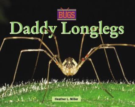 Hardcover Daddy Longlegs Book