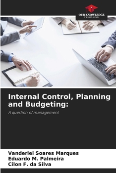 Paperback Internal Control, Planning and Budgeting Book